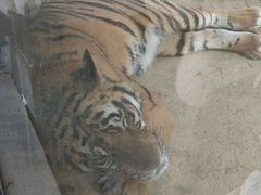-杭州野生动物世界