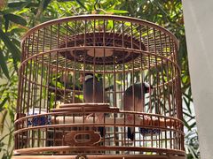 -31号公馆(黄兴广场白果园店)