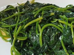 蒜蓉炒番薯叶-南沙辉记烧鸡·荔枝木炭火吊烧(旧镇店)