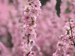 -陕西师范大学(雁塔校区)