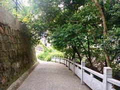 -紫金山索道-售票处