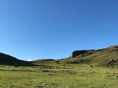 -御道口草原森林风景区