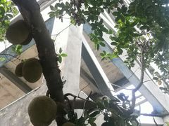 -燕晗山郊野公园
