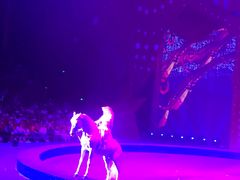 -珠海横琴长隆《卡卡虎奇遇记》