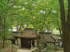 -上海佘山国家森林公园天马山园