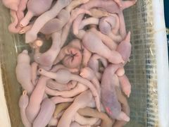 -渔民船说·北塘海鲜·天津菜·海肠捞饭(北塘古镇店)