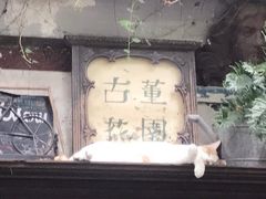 -古董花园(思南路42弄小区店)