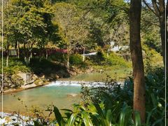 -广州白江湖森林公园