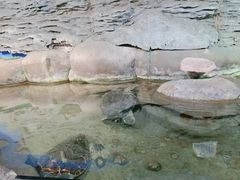 -厦门海底世界