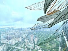-平安金融中心云际观光层