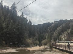 -芦芽山旅游度假区