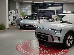 -上海浦东smart汽车全功能店(金桥店)