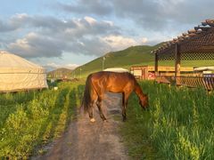 -库伦旗银沙湾旅游景区