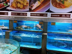 -梦都海鲜酒家(万达广场江桥店)