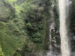 -莫里热带雨林景区