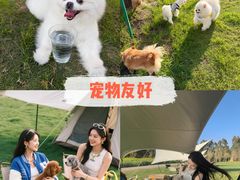 -上海山野camping·户外天幕烧烤·团建拓展营地