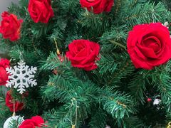 -莲花跑车(国贸商城店)