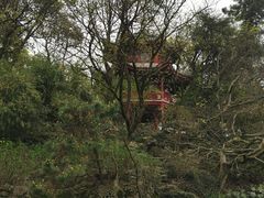-汇龙潭