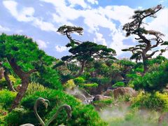 -罗红摄影艺术馆