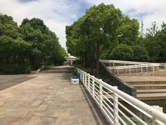 -新江湾城公园