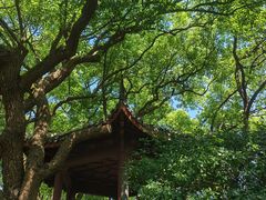 -吴山景区