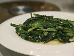 -陕西会客厅·宴会厅·唐世佳宴