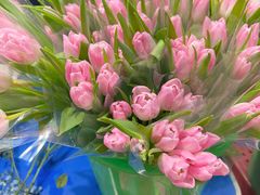 -循礼门鲜花花市(武汉循礼门店)