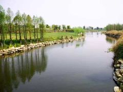 -九里河湿地公园