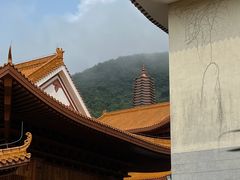 -深圳仙湖植物园