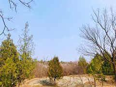 -白水寺森林公园