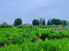 -亲兄弟真人CS团建拓展基地