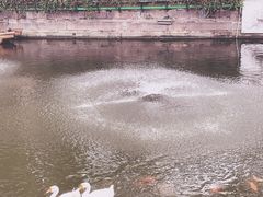 -豫园湖心亭茶楼