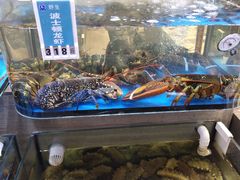 水产区-金海湾海鲜总店