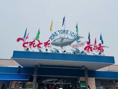 -南纪白浜Toretore市场