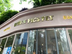-WHEN PIGS FLY当猪飞