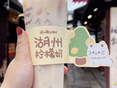 -猫的魔法密林(衣裳街店)