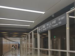 -青岛胶东国际机场