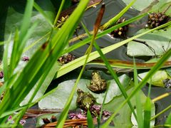 -国家植物园南园