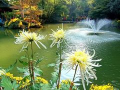 -杭州植物园