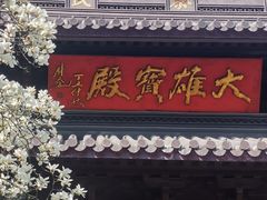 -灵谷景区