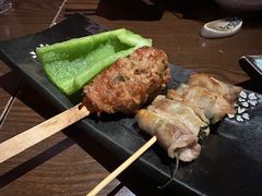 鸡肉丸-TINY