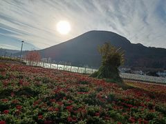 -华侨城阳宗海海景温泉