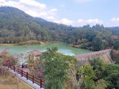 -广州白江湖森林公园