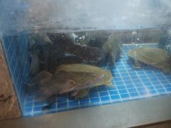 -庄隐阁(悠方广场店)