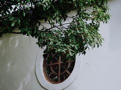 -白帝城·瞿塘峡景区