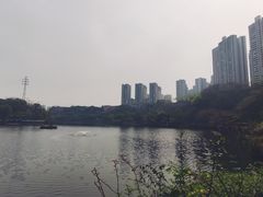 -重庆彩云湖湿地公园