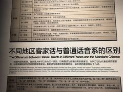 -三妹老屋新鲜焗盐鸡