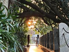 -南宁南湖公园