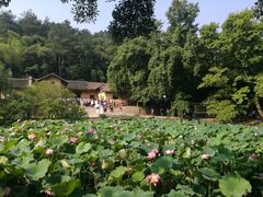 -韶山毛泽东同志故居