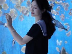 -合肥海洋世界